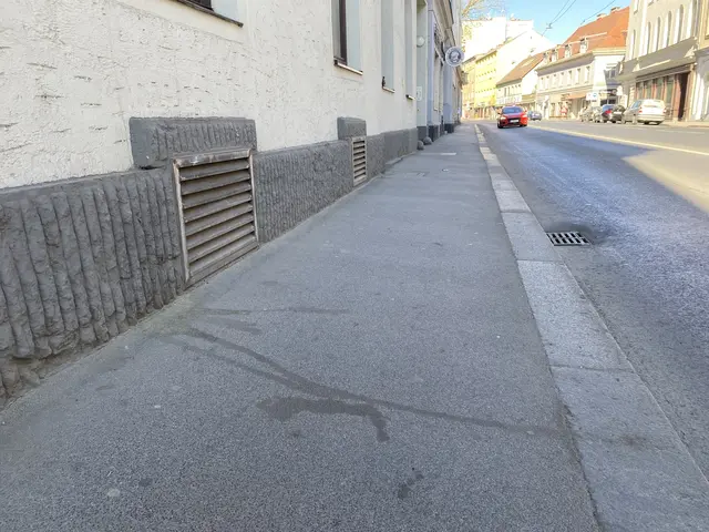 Eine "Hundelackerl" zieht sich über einen Gehsteig. 