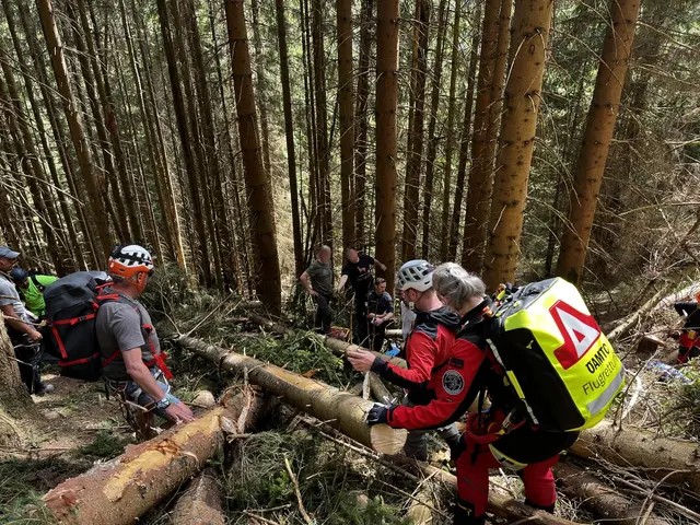 Holzfäller in Veitsch schwer verletzt – Hubschrauber im Einsatz