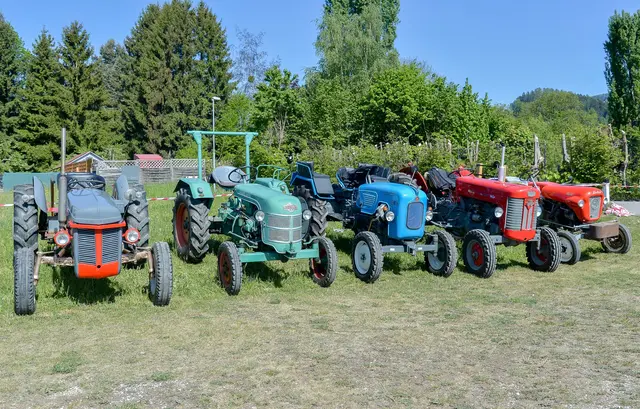 Foto: Gerhard Pulsinger