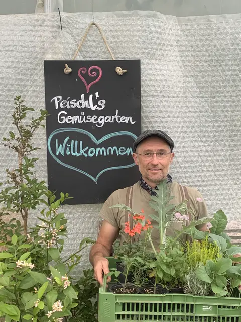 [Anzeige] Peischl’s Gemüsegarten lädt zum Pflanzenmarkt in Neumarkt ein