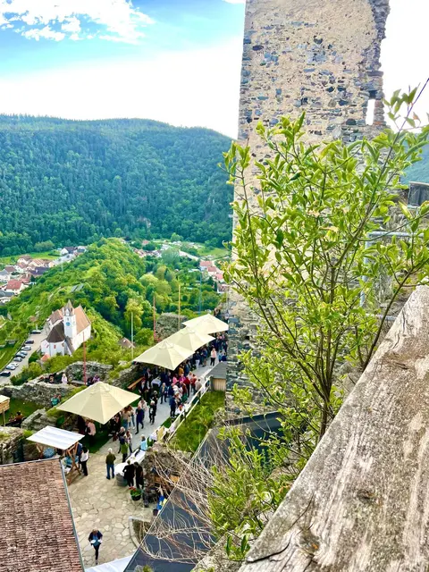 Foto: Verein zur Erhaltung der Burgruine Senftenberg