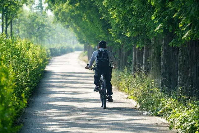 Symbolbild: Zwei E-Bike-Fahrer kollidierten auf einem Radweg in Wattens und kamen zu Sturz. | Foto: Symbolbild (Pixabay)
