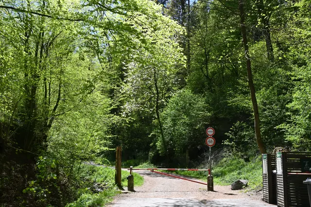 Ins Weitental