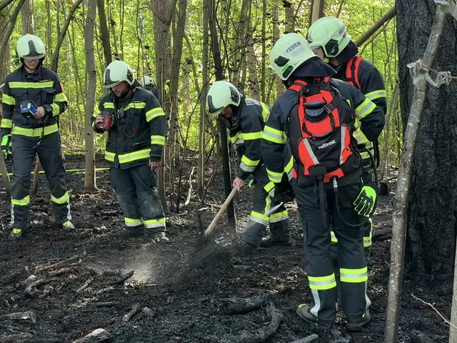 Foto:  BFKDO BADEN / Stefan Schneider