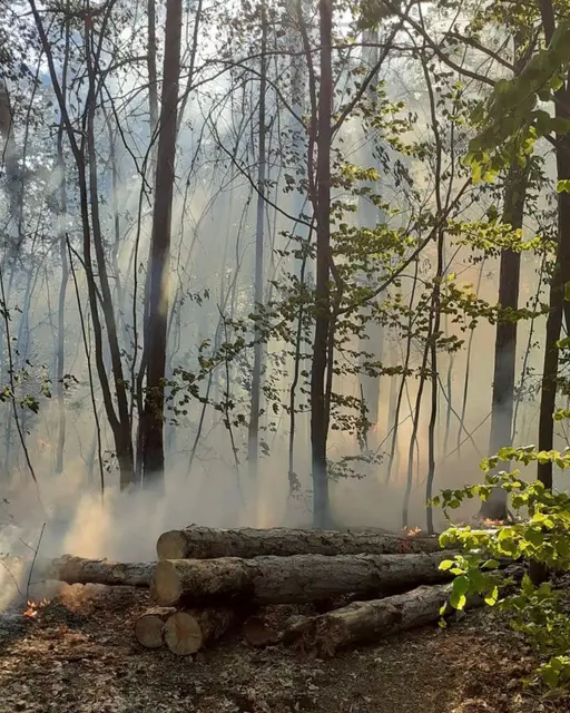 Foto: Freiwillige Feuerwehr Aigen