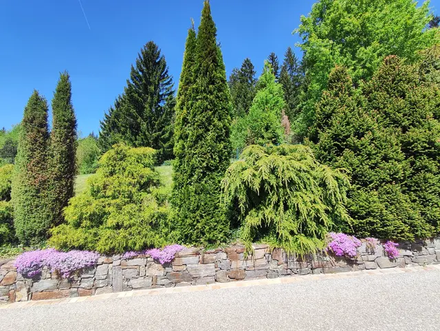 Ein schöner Garten im Frühling.
