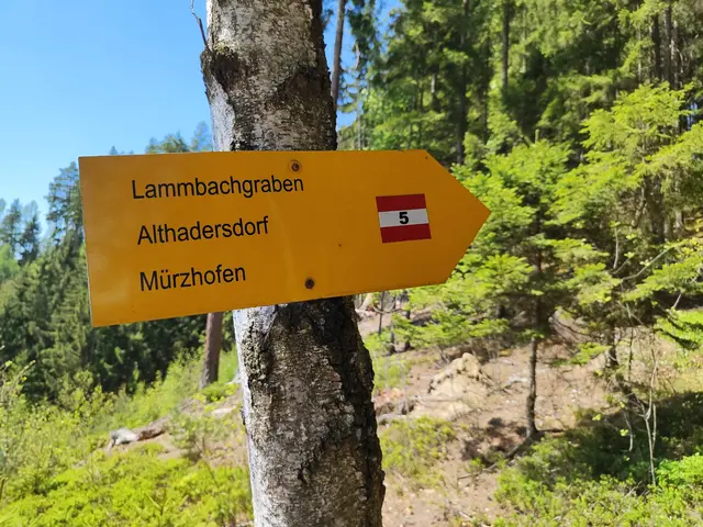 Auch auf diesem Weg kommt man nach Mürzhofen.