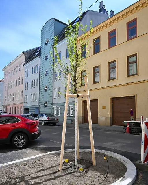 Ein eigenes Substrat sorgt für die gute Durchlüftung der Erde. | Foto: BV18