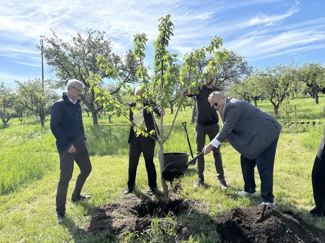 Im Rahmen des offiziellen Projektstarts pflanzte Wiens Stadtrat Peter Hacker (r.) symbolisch einen Baum. | Foto: Marlene Graupner/MeinBezirk