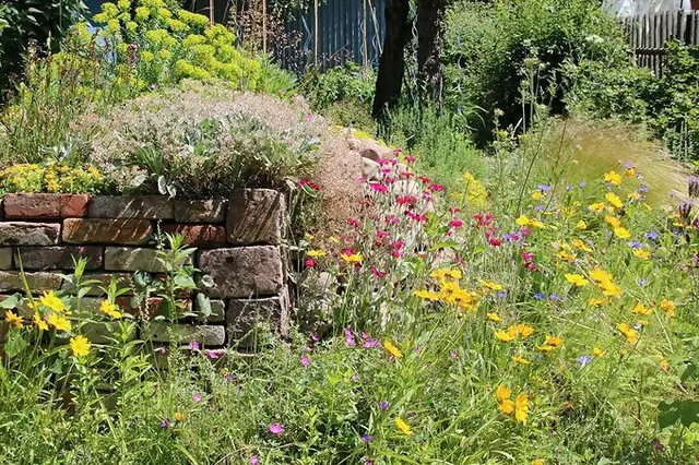 Ein lebendiger Garten für alle Bewohner