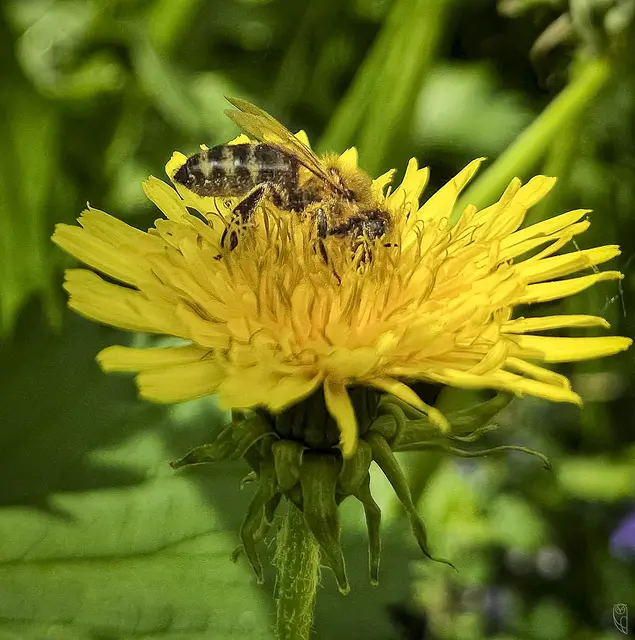Wer niemals Träumt, 
verschläft sein schönstes Leben.
Foto: Glaser 