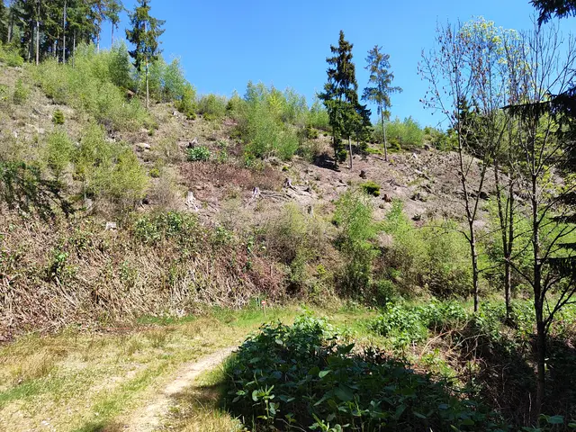 Auf diesen Bergrücken müssen wir noch hinauf... | Foto: I.Wozonig