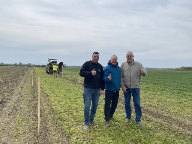 In Absdorf entsteht ein tolles Projekt. | Foto: MG Absdorf