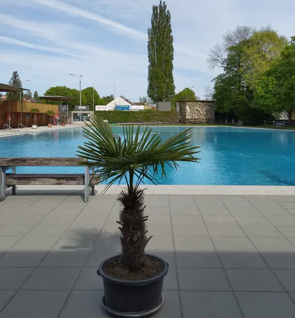 Schwimmschule startet am 9. Mai und setzt bewusst auf kinder- und familienfreundliche Tarife!