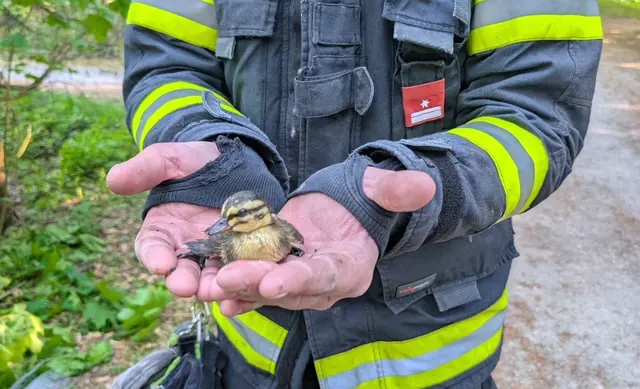 Foto: Freiwillige Feuerwehr Hagenberg im Mühlkreis