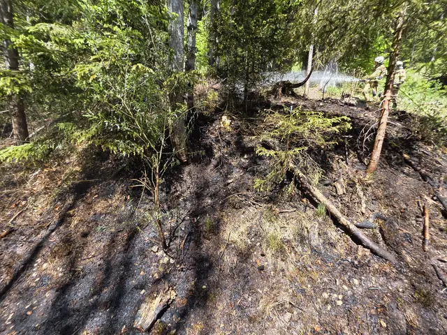 Einsatzkräfte bekämpfen einen Waldbrand am Landbergweg bei Wacht in Thiersee. Das Feuer konnte rasch unter Kontrolle gebracht werden, anschließend erfolgten Nachlöscharbeiten.
 | Foto: zoom.tirol