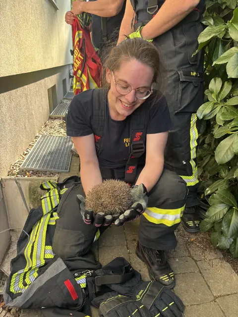 Der Igel war unverletzt und wohlauf. | Foto: FF Laa/Thaya