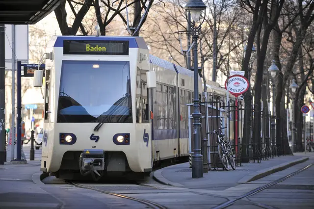 Auch die Badner Bahn ist nur verkürzt unterwegs. (Archiv) | Foto: WLB / Johannes Zinner