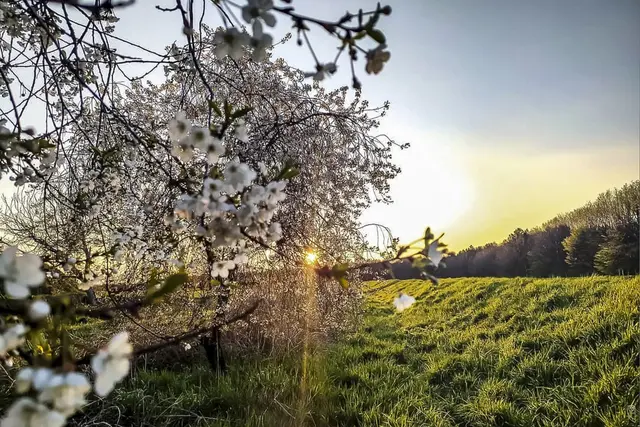 Du kannst am Morgen weiterträumen oder 
aufstehen und deine Träume verwirklichen.
Foto: Glaser 