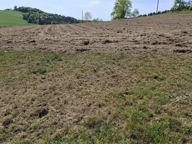 Bis zu 75 Prozent weniger Regen. | Foto: zin.