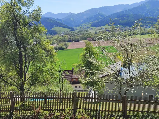Frühling 