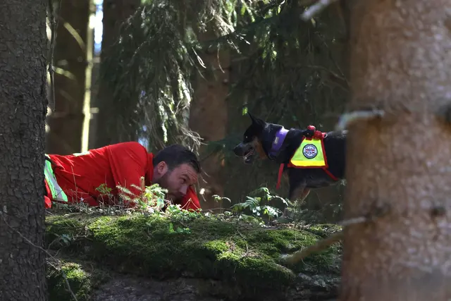 Rettungshund findet Person bei Übung. | Foto: ÖRHB LG OÖ