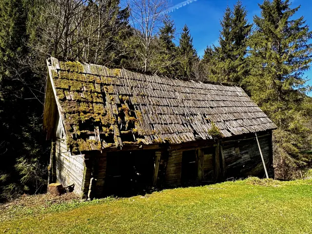 LOST PLACE IM DÜRRGRABEN