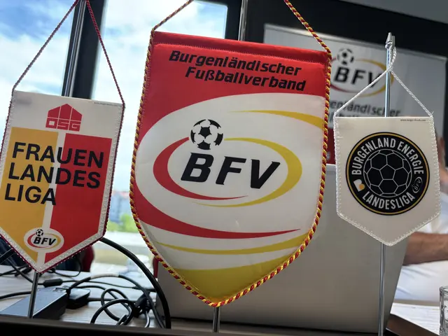 Der BFV strebt eine Ligareform an, um den burgenländischen Amateurfußball auf gesündere Beine zu stellen. | Foto: Franz Tscheinig/MeinBezirk Burgenland