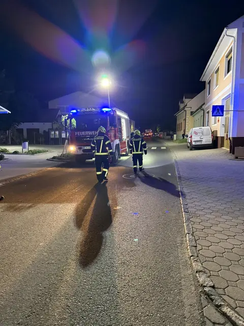 Foto: Feuerwehr Riedlingsdorf