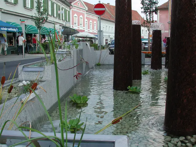 Von der ursprünglichen Bepflanzung des Brunnens wurde zum Wohle der Wasserqualität Abstand genommen. | Foto: Josi Thaller