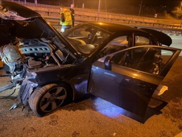 Ein erst 18-jähriger Lenker war mit seinem Auto bis zu 250 km/h auf der Wiener A22 unterwegs. Die Verfolgungsjagd mit der Polizei endete mit einem Unfall. | Foto: LPD Wien