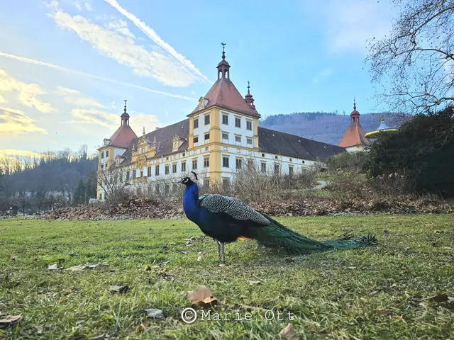 Schloss Eggenberg, Graz 