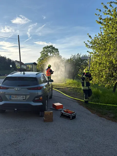 Foto: FF Neustift/Rosalia