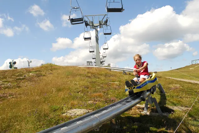 Auf der Sommerrodelbahn wird eine Geschwindigkeit von bis zu 40 Km/h erreicht (Archivfoto) | Foto: KK