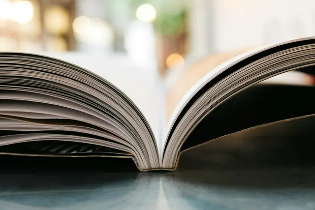 Firmenbuch, Jahresabschlüsse, Insolvenzen und Co. auf einer Plattform
