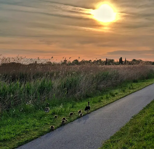 Nationalpark Illmitz
@renatahfotografie