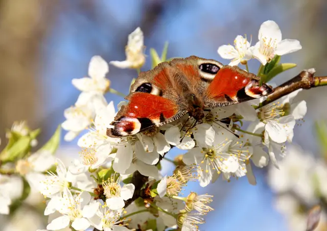 Die Bilder unserer Community spiegeln die Vielfalt des Aprils perfekt wider.