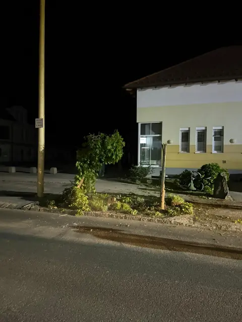 Foto: Feuerwehr Riedlingsdorf