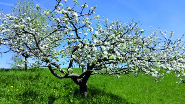 Förderspritze für den Naturpark Südsteiermark