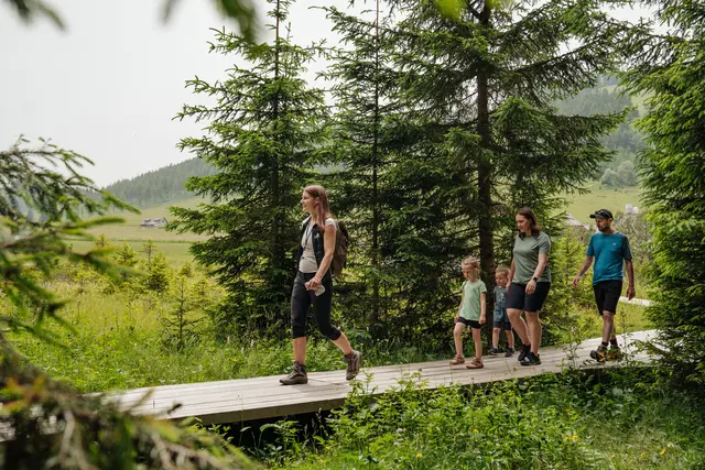 Naturpark Führung_Moorlehrpfad6_Naturpark Almenland  | Foto: Oststeiermark Tourismus