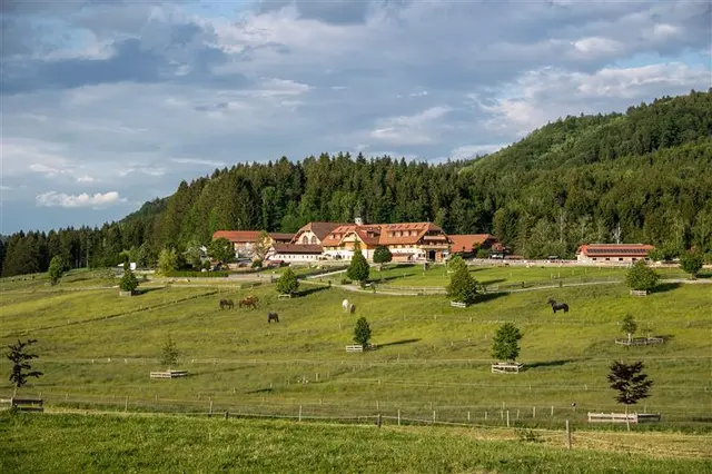 Das Jubiläum wird am 31. Mai auf dem Gründergut in Henndorf gefeiert. | Foto: Gut Aiderbichl