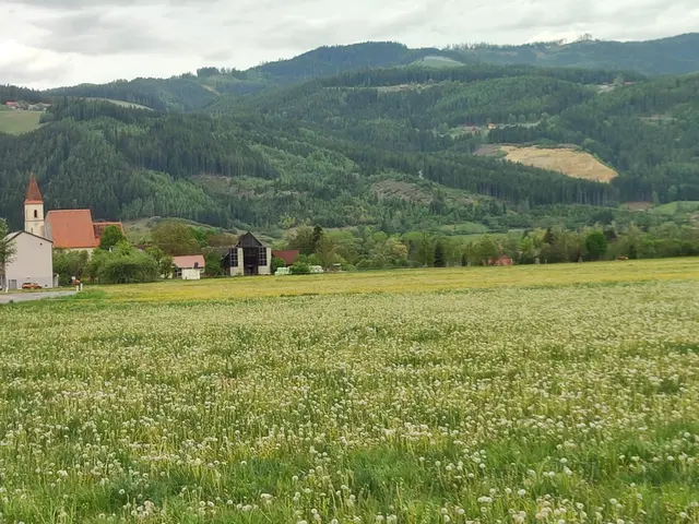 So sieht man von Allerheiligen nach Mürzhofen.