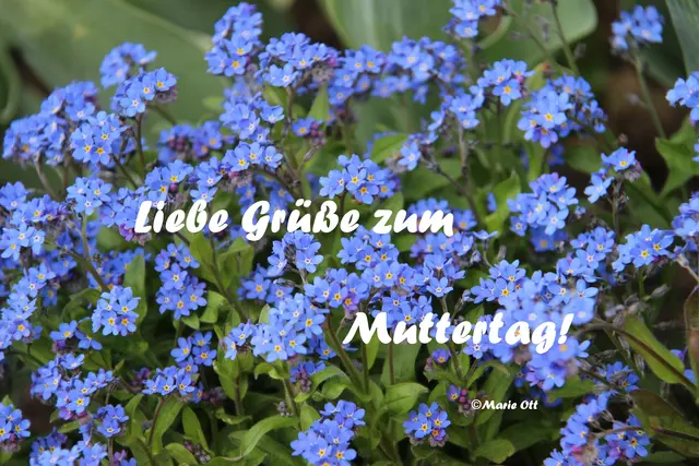 Liebe Grüße zum Muttertag