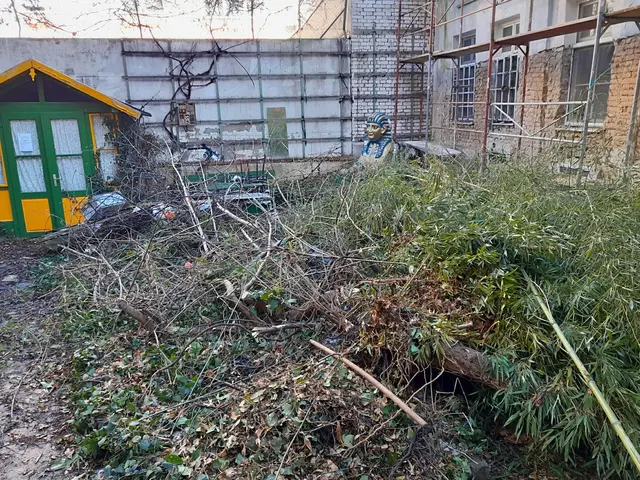 Sorge vor nächster illegaler Baumfällung in Margareten