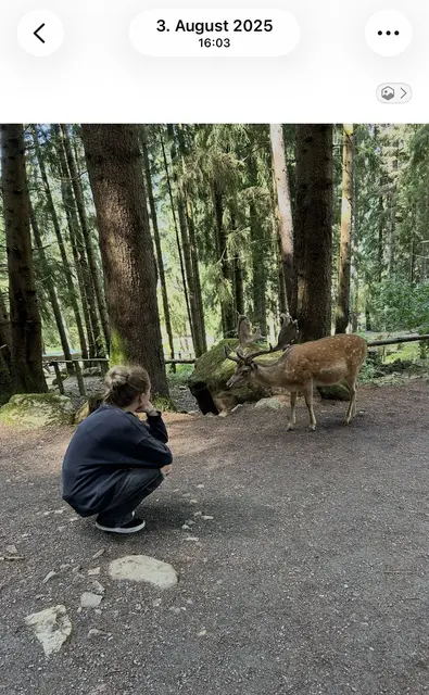 Tierpark Rosegg | Foto: Sachs-Ortner