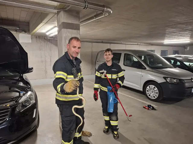 Zu einer Tierrettung wurde die Kapfenberger Feuerwehr am Dienstag gerufen. | Foto: FF Kapfenberg Diemlach