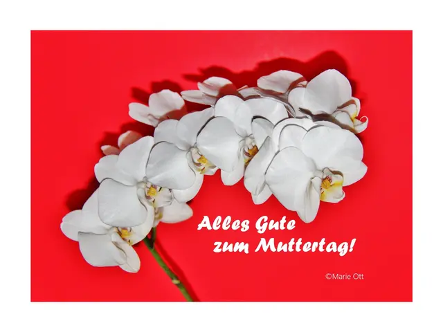 Alles Liebe zum Muttertag