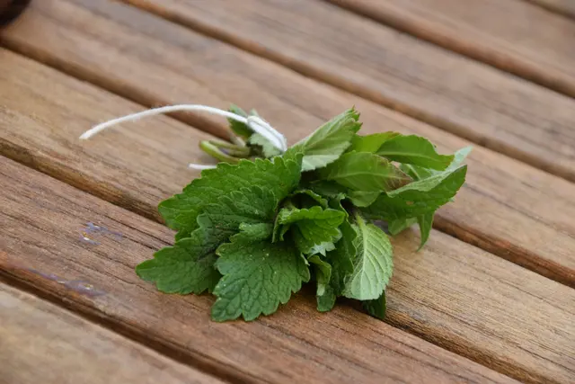 Teebüschel mit gemischten Kräutern: Zitronenmelisse, ein Brombeerblatt, ein Himbeerblatt, und Zitronenverbene. | Foto: Mirjam Preineder