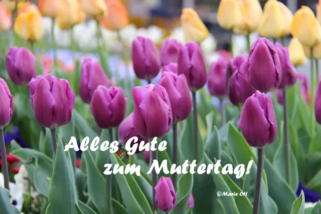 Alles Gute zum Muttertag