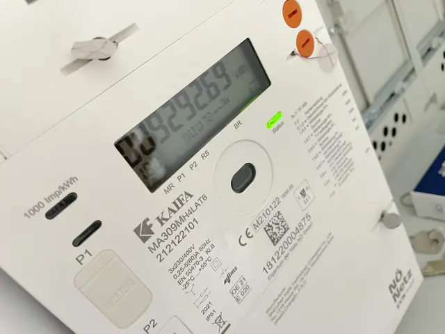 Der Strom für die Plantage wurde größtenteils illegal abgezapft. Dafür wurde um das Smartmeter eine Umgehungsleitung gelegt. | Foto: Sandra Schütz